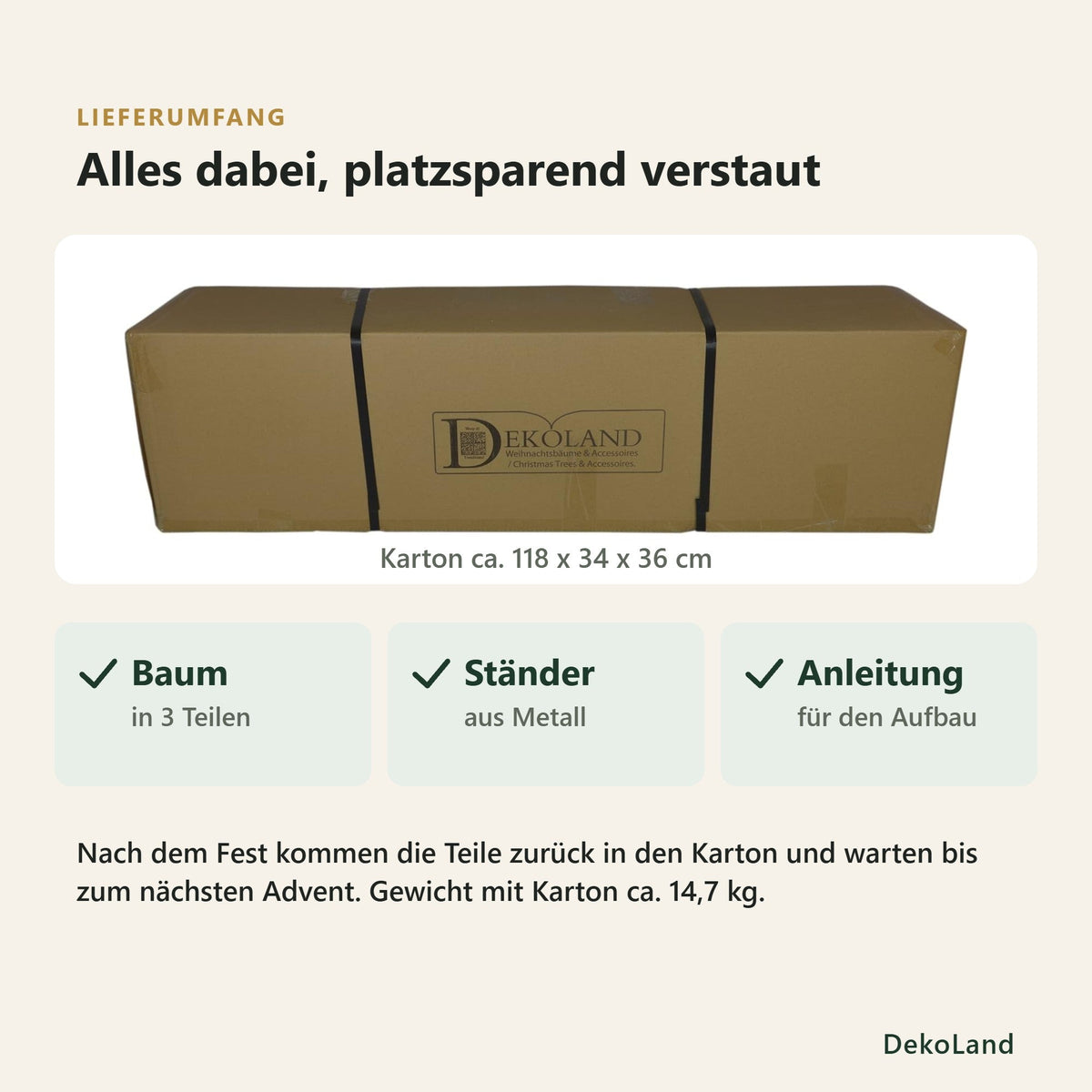 DekoLand Douglasie 210 cm – PE-Spritzguss Weihnachtsbaum