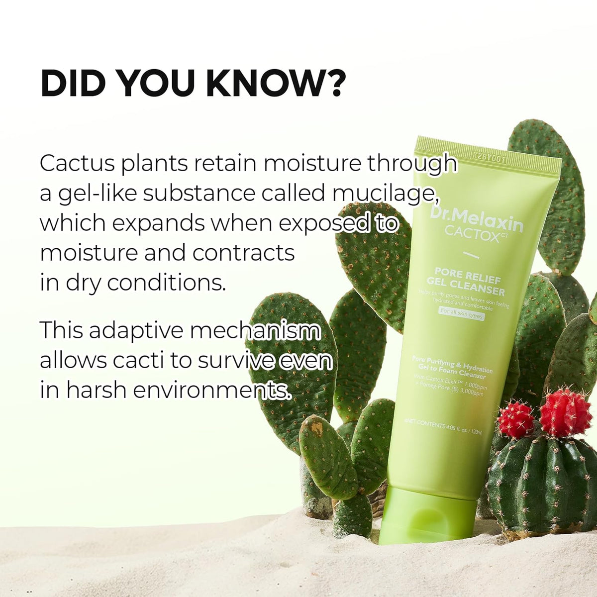 Dr.Melaxin Cactox Pore Relief Gel Cleanser 120 ml
