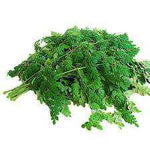Drumstick leaves 1 bunch