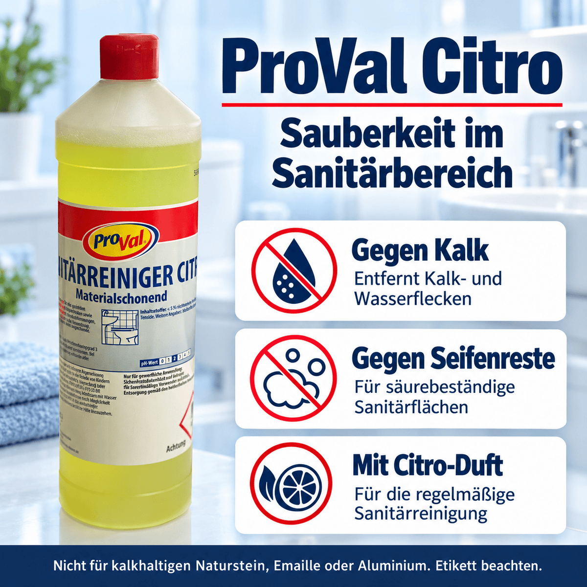 Eilfix Proval Sanitärreiniger Citro