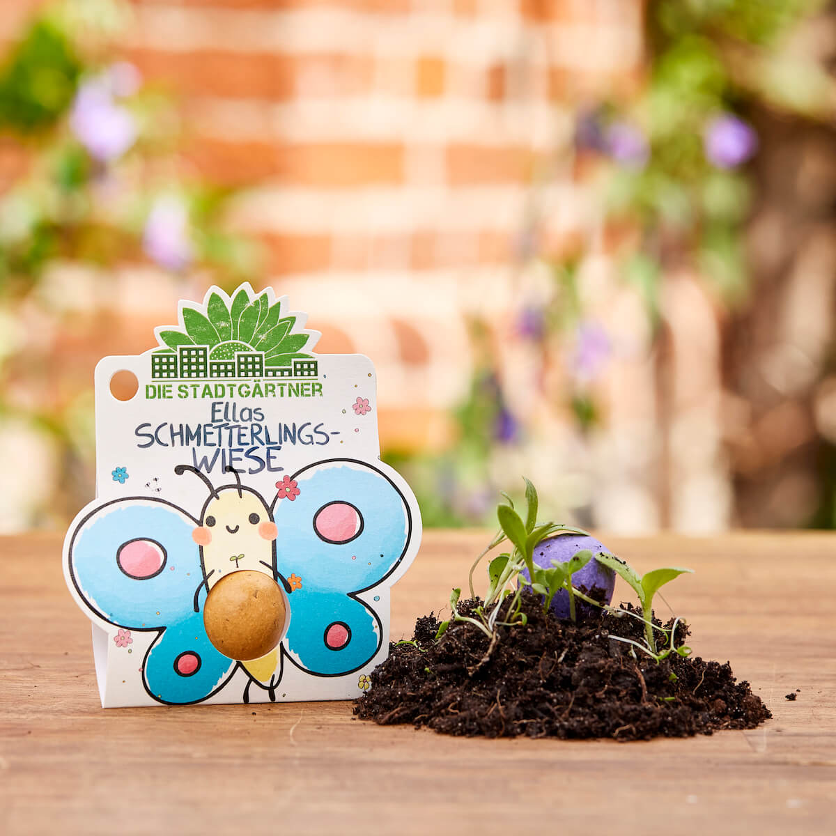 1 Blumenmurmel "Ellas Schmetterlingswiese"