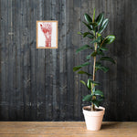 Personalisiere Dein Gerahmtes Poster