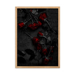 Roses Gerahmtes Poster