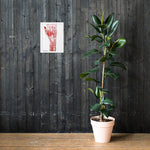 Personalisiere Dein Gerahmtes Poster