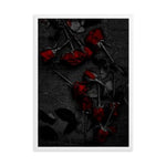 Roses Gerahmtes Poster
