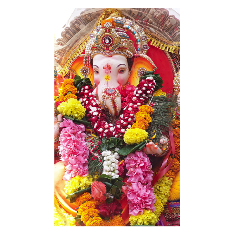Ganesh Chaturthi Pooja Package product image 1