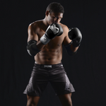 Phantom Athletics Boxhandschuhe Ultra - black 10 OZ