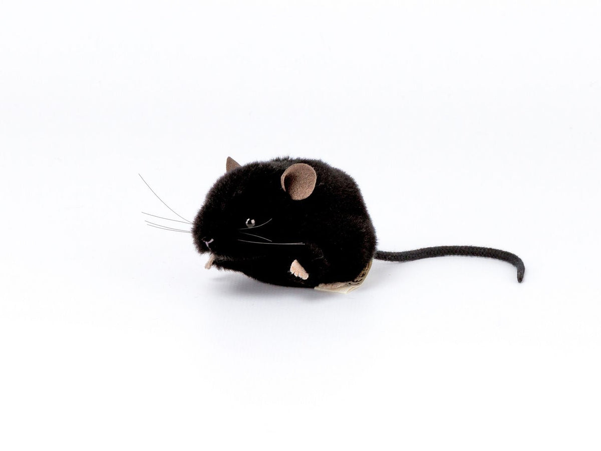 Kösener Maus Plüschtier schwarz