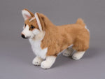 Kösener Welsh Corgi Plüschtier 34 cm