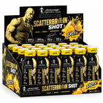 Kevin Levrone Scatterbrain Shot 24x120ml Namma Markt