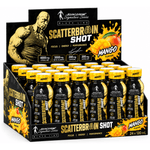 Kevin Levrone Scatterbrain Shot 24x120ml Namma Markt