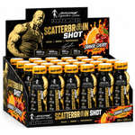 Kevin Levrone Scatterbrain Shot 24x120ml Namma Markt