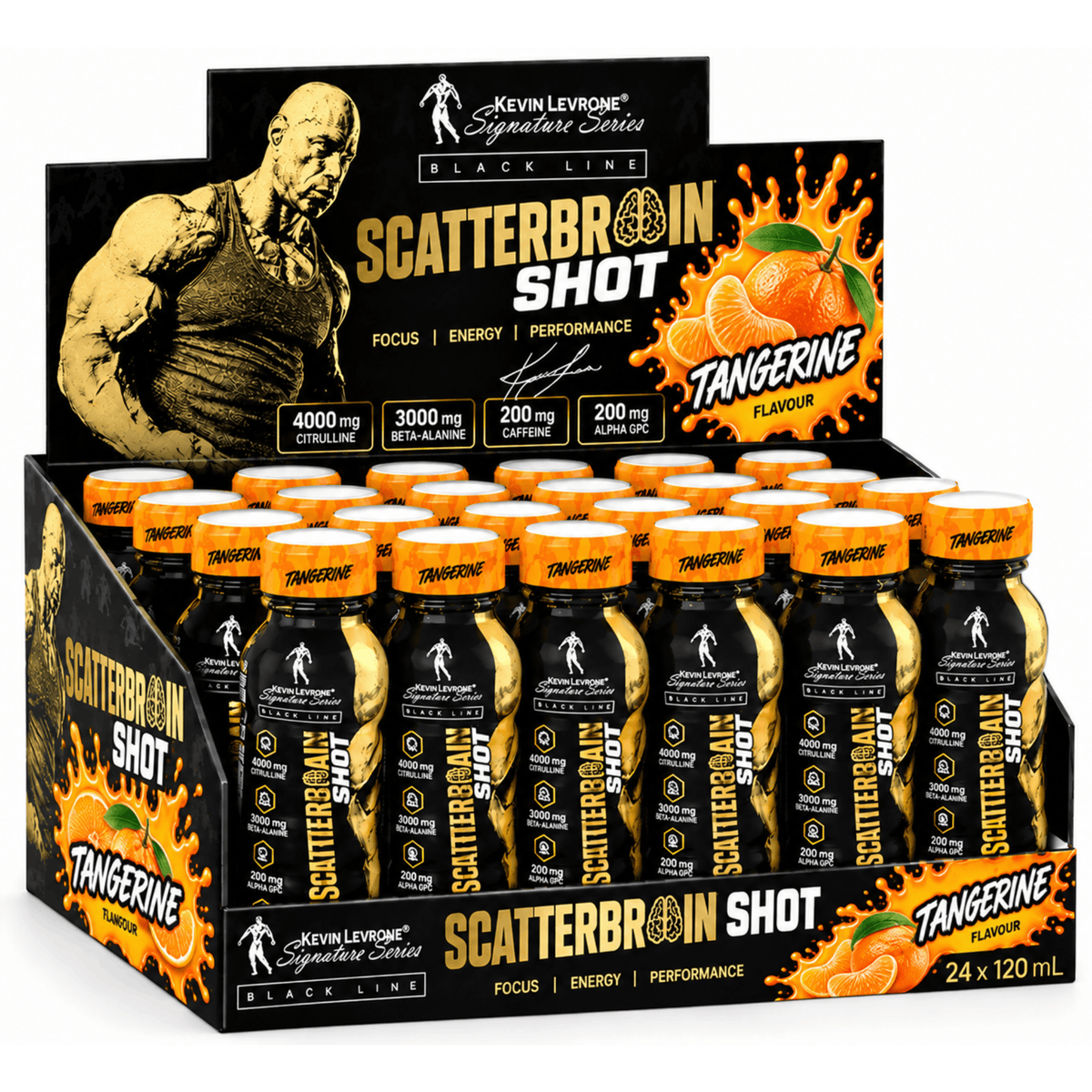 Kevin Levrone Scatterbrain Shot 24x120ml Namma Markt