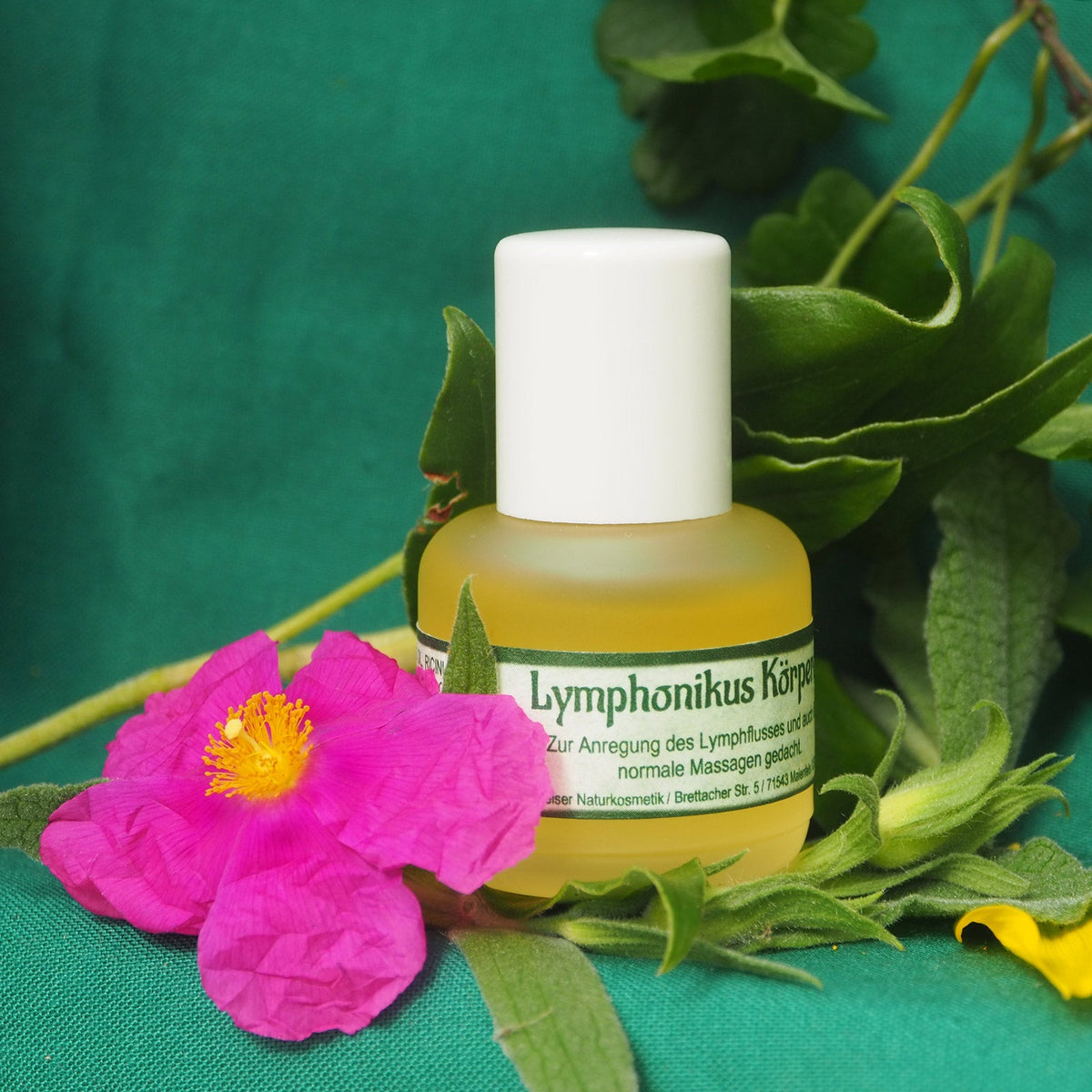 Lymphonikus Massageöl