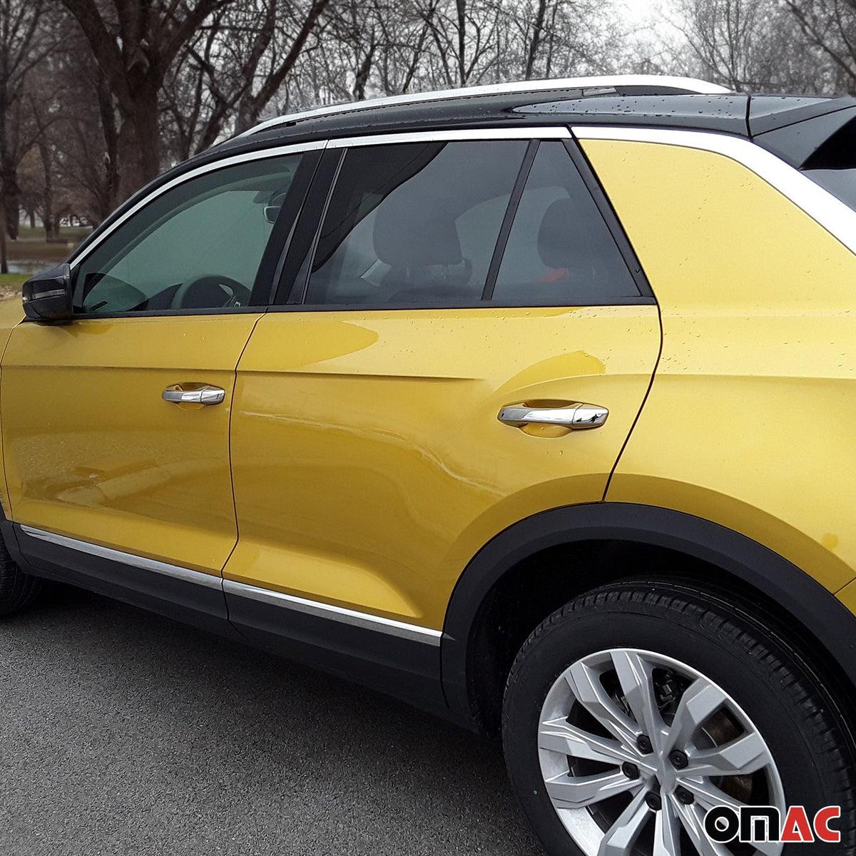 Chrom Türgriff Blende für Seat Ibiza 2017-26 / Leon 2012-2026 Edelstahl