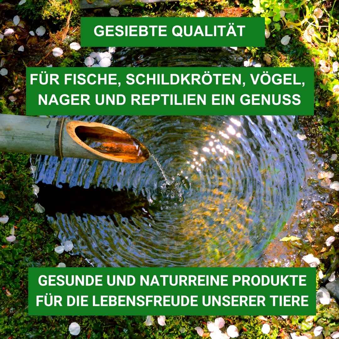 Insektus® getrocknete Mehlwürmer im Vorratsbehälter