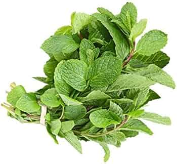 Fresh Mint leaves - 1 bunch