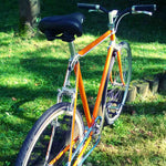 Glossy Orangina - Orange Glanz Rahmenschutzfolie Namma Markt