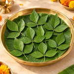 Bael Leaves (Bael Patra / Vilvam) – 11 Leaves Namma Markt