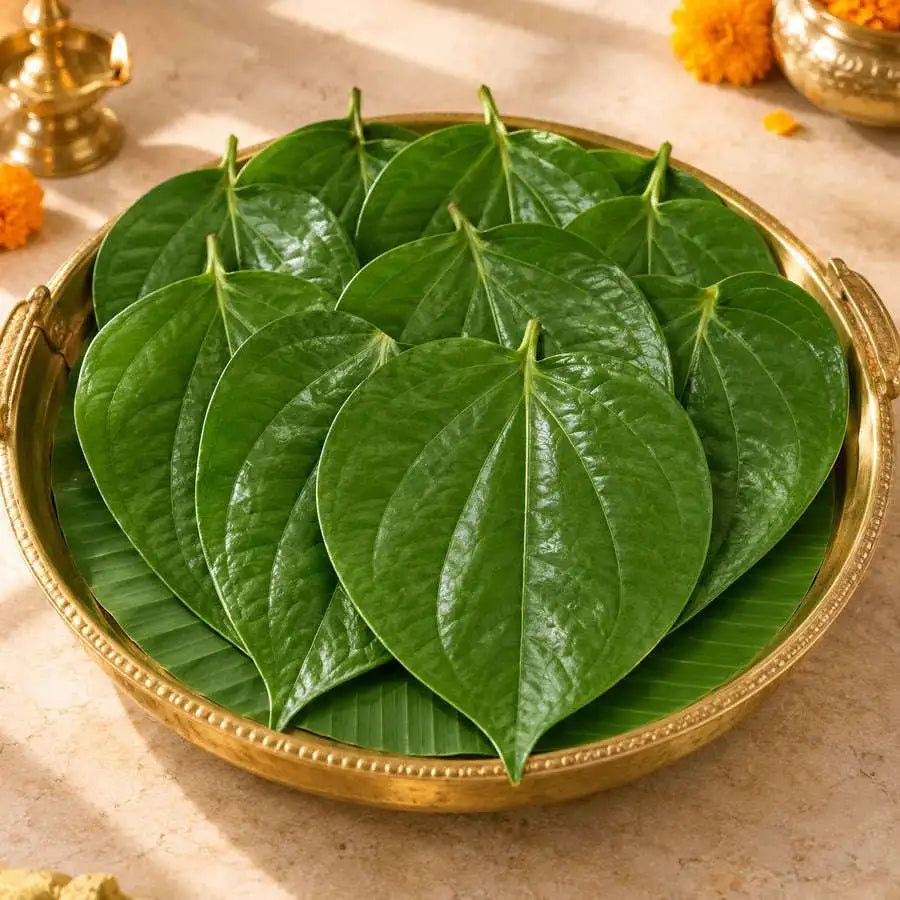 Fresh Leaves