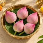 Lotus Pink – 5 Buds per Pack Namma Markt