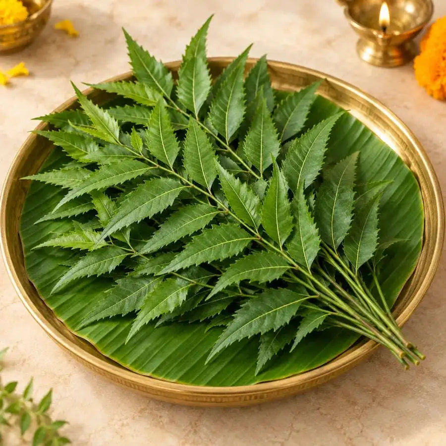 Fresh Neem Leaves – 10 Stems Namma Markt
