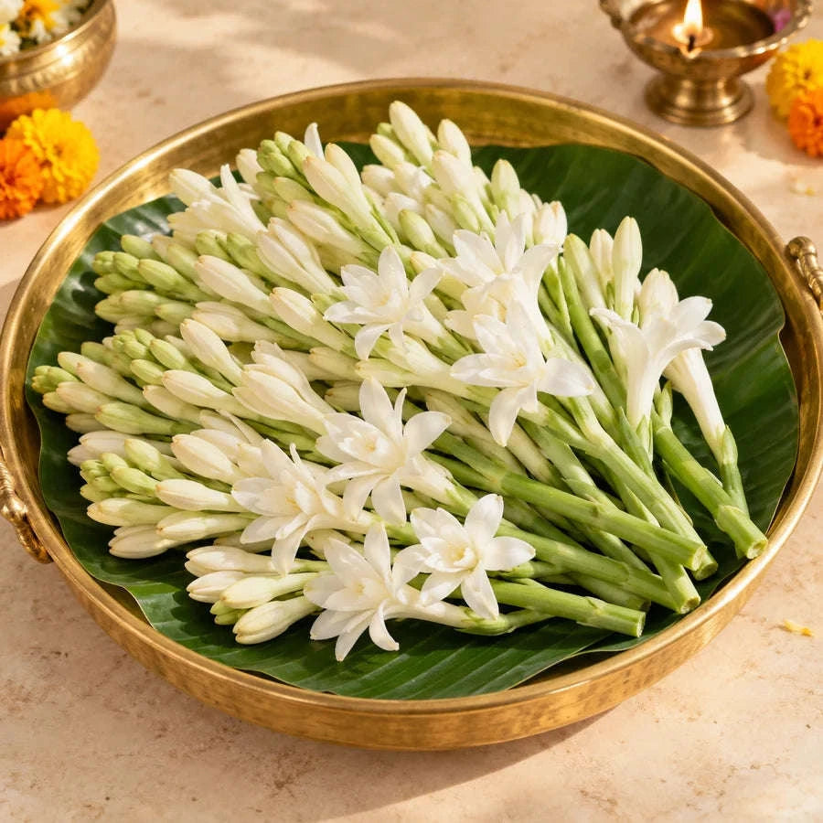 Tuberose (100g) Namma Markt