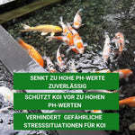 ph Wert senken im Teich mit pH Minus 5kg