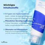 Isntree Hyaluronic Acid Moist Cream 100 ml