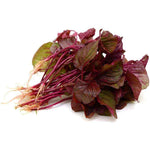 Red Spinach 1 bunch