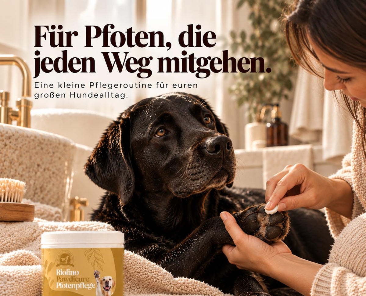 Riolino Pawdicure – Pfotenbalsam für Hunde, 250 ml