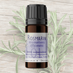 Rosmarin