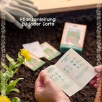 BIO-Saatgut-Set "Balkongemüse"