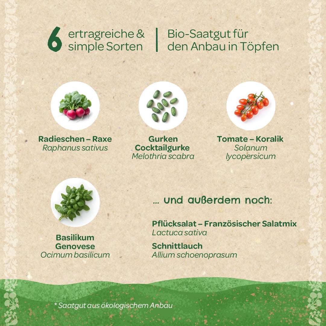 BIO-Saatgut-Set "Balkongemüse"