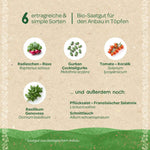 BIO-Saatgut-Set "Balkongemüse"
