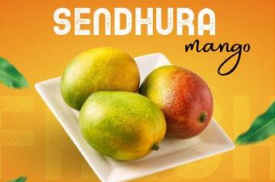 Sendhura Mangoes (1.5 kg box) - Namma Markt