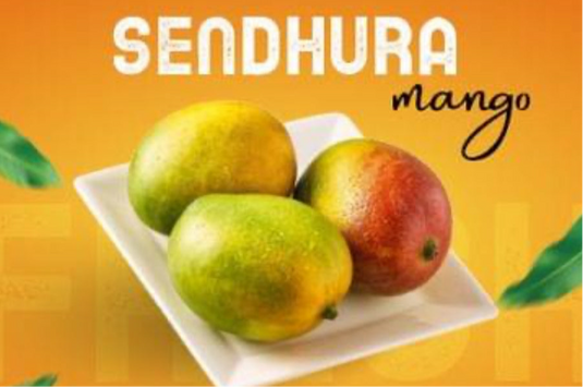 Sendhura Mangoes (1.5 kg box) - Namma Markt
