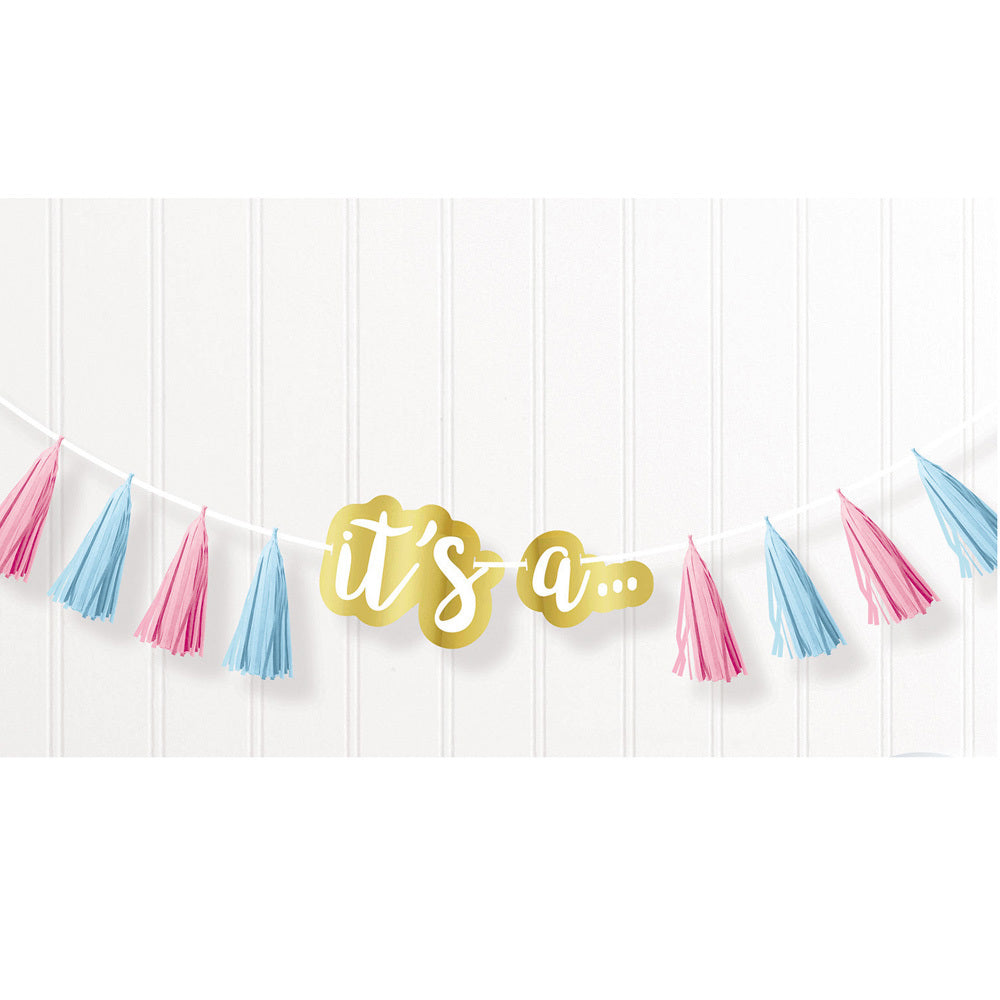 The Big Reveal - Quastengirlande | 240 cm, Rosa/Blau