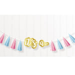 The Big Reveal - Quastengirlande | 240 cm, Rosa/Blau