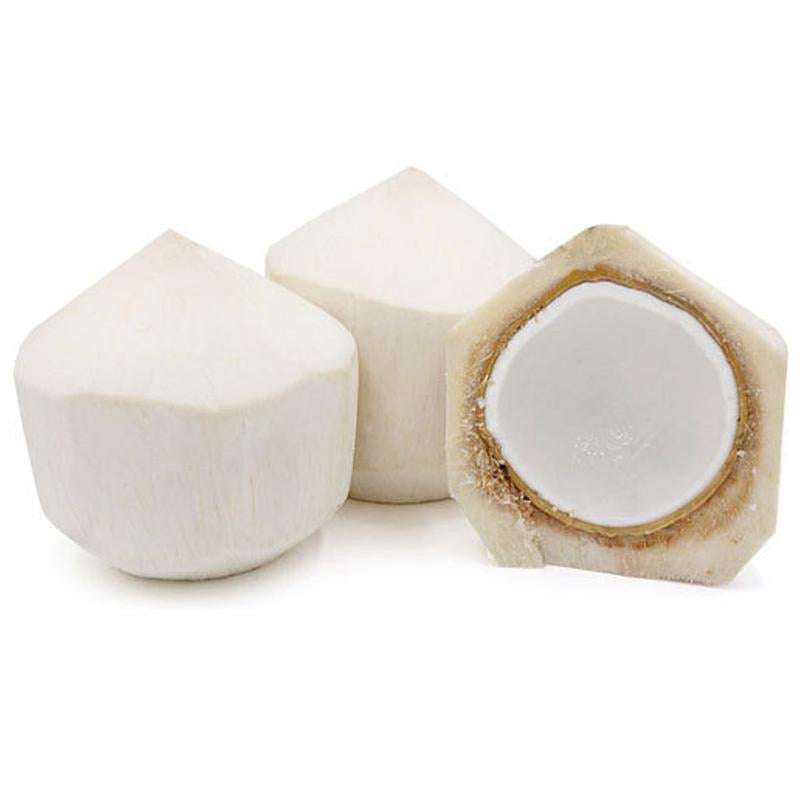 Tender Coconut - 1 stuck ( Thailand ) - Namma Markt