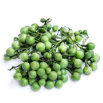 Turkey berry / Sundakkai 200g - Namma Markt