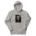 Louvre Paris Graphic Hoodie Design 2