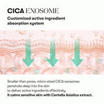 VT Cosmetics PDRN Cica Exosome Firming Ampoule 30 ml
