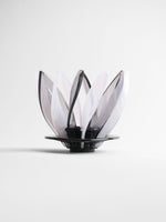 Hario Suiren Rippen-Set (6 Stück) – Modulares Pour-Over-Dripper-Zubehör