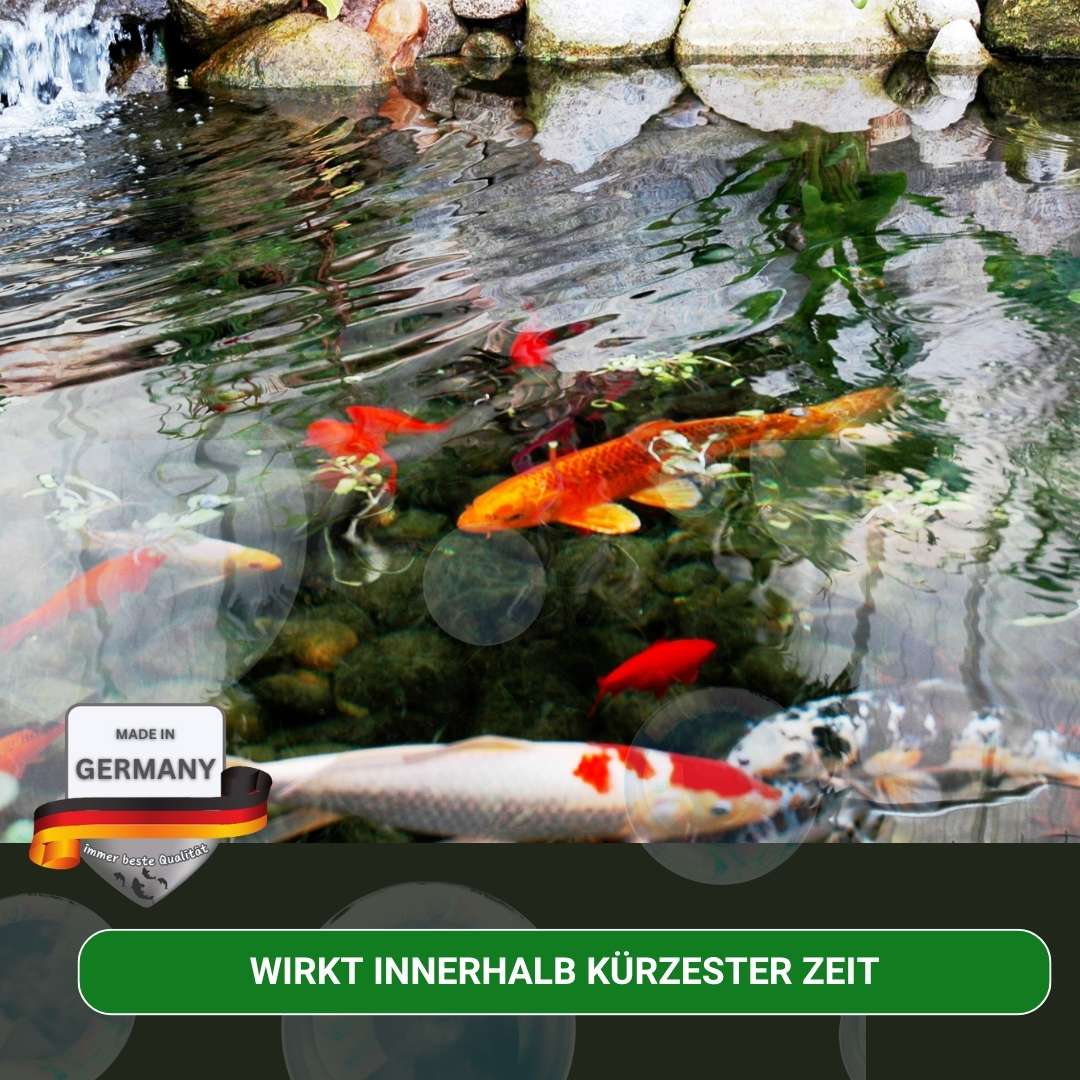 Ammonium & Nitrit MINUS Bakterien 500 ml - Soforthilfe