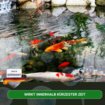 Ammonium & Nitrit MINUS Bakterien 500 ml - Soforthilfe