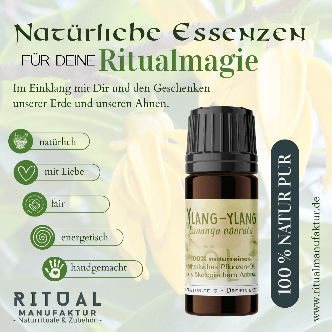 Ylang Ylang